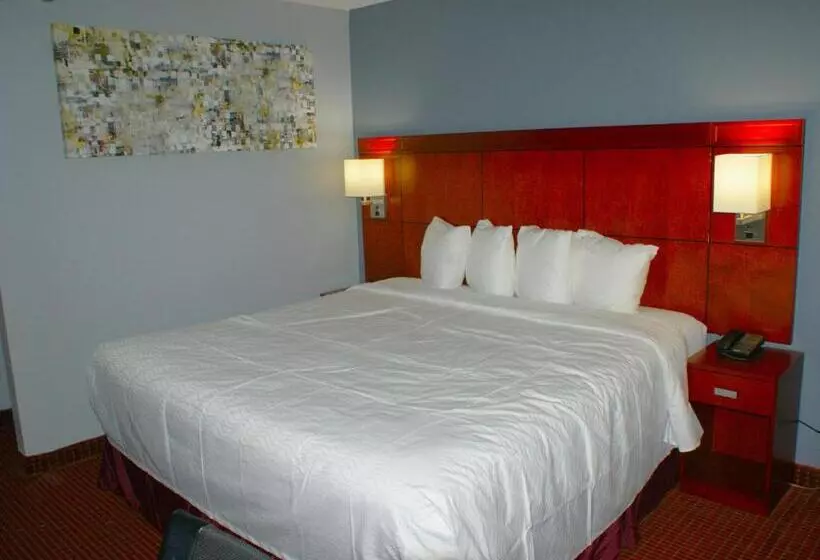 Motelli Sonesta Essential Van Buren