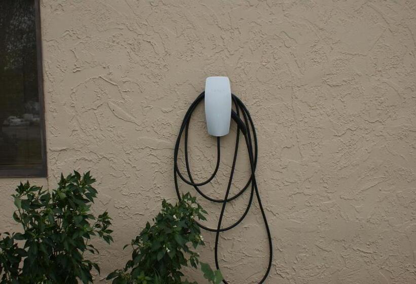 מוטל Sonesta Essential Van Buren