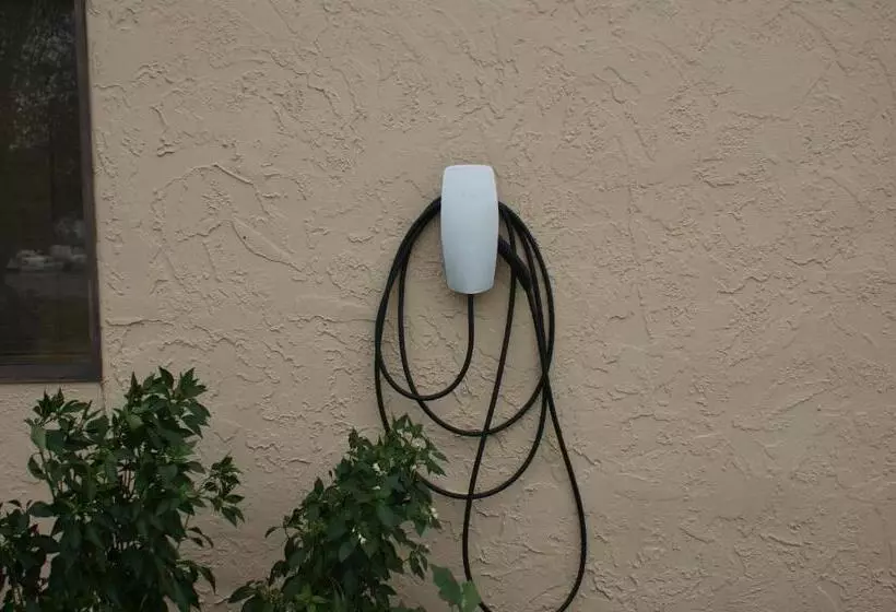 Motelli Sonesta Essential Van Buren