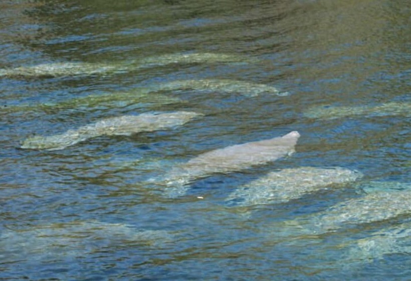 Резиденция Alling House