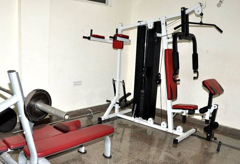 צימר Cosmopolitan Cultural Centre