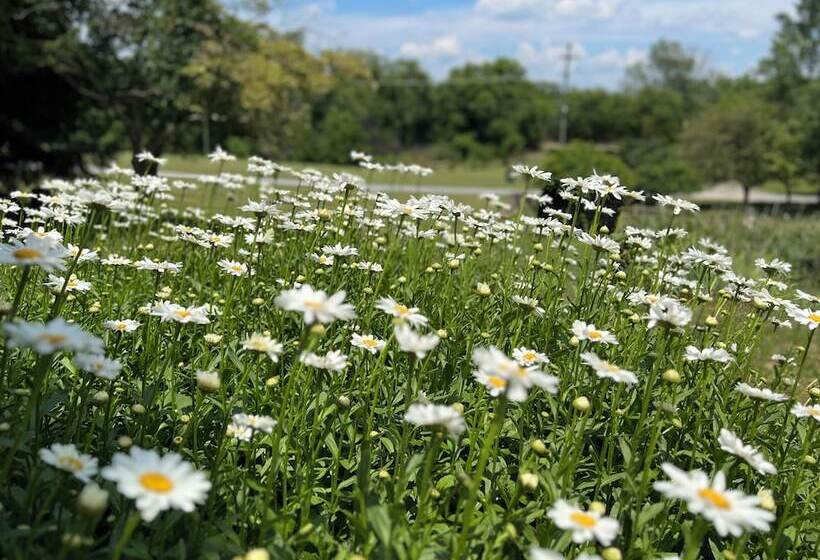 צימר Nesselrod On The New