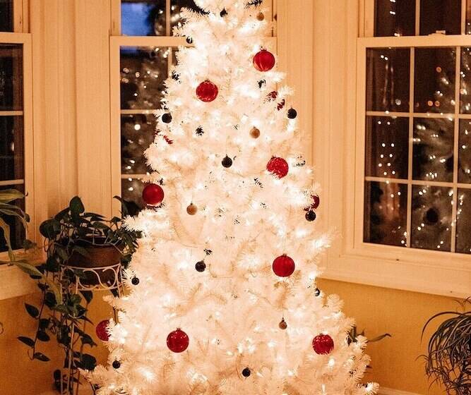 צימר Nesselrod On The New