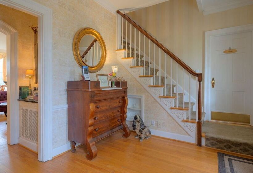 צימר Nesselrod On The New