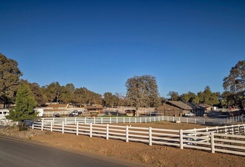 Grizzly Bear Lodge Rustic Cabin By Yosemite Region Resorts