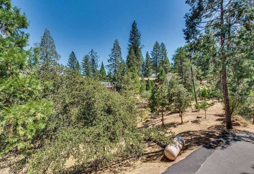 Grizzly Bear Lodge Rustic Cabin By Yosemite Region Resorts