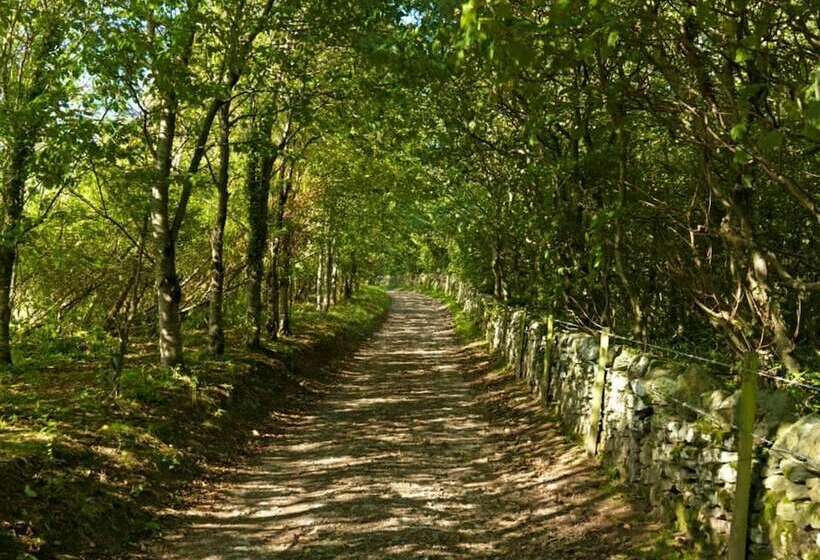 호텔 17  Talitha  Bell Tent Glamping Anglesey