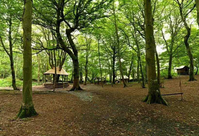 Hotelli 17  Talitha  Bell Tent Glamping Anglesey