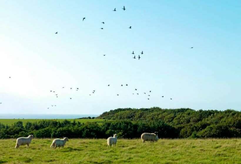 호텔 17  Talitha  Bell Tent Glamping Anglesey