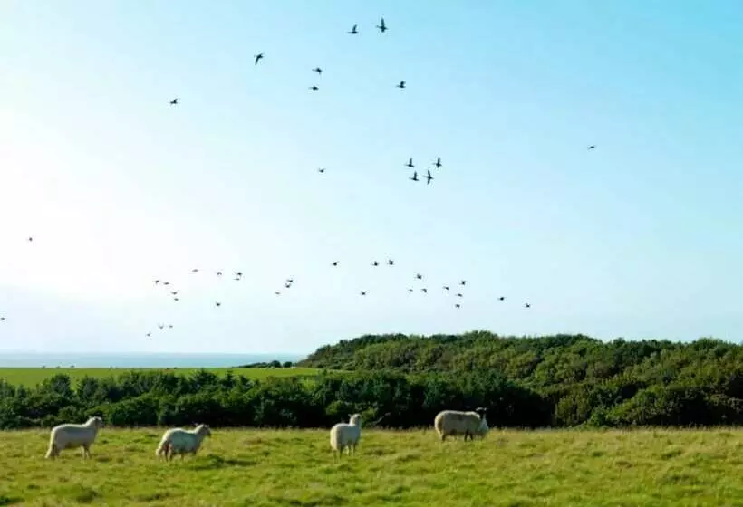 Hotelli 17  Talitha  Bell Tent Glamping Anglesey