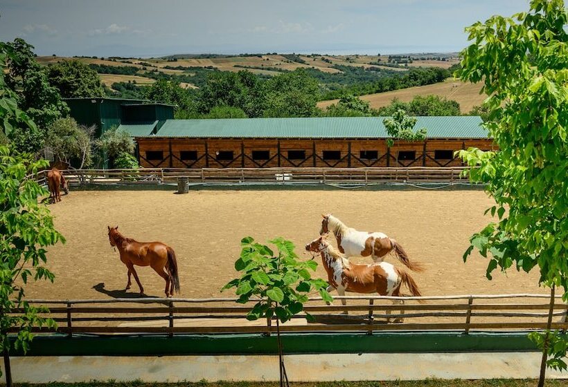 Отель 3 Hills Boutique