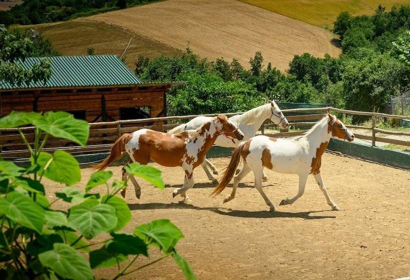 Отель 3 Hills Boutique