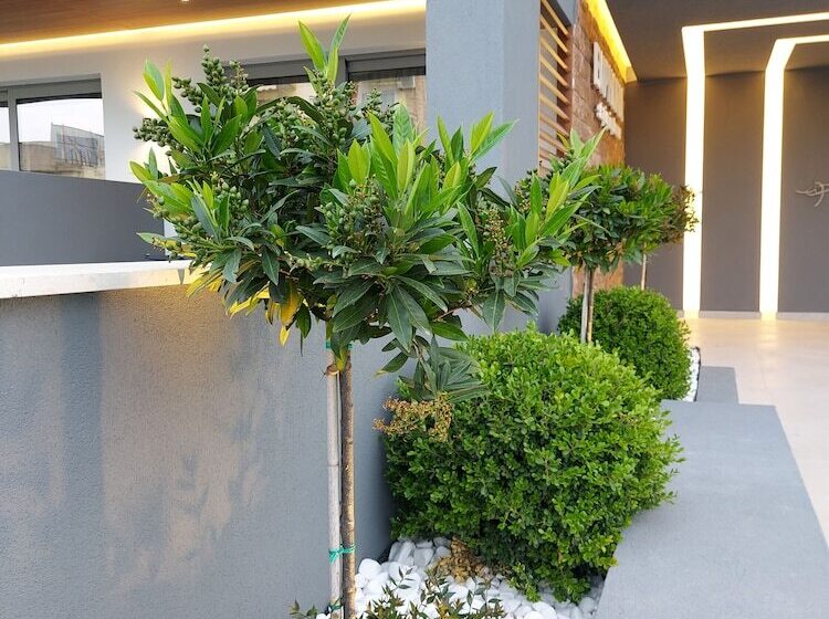 Hotel Euphoria Staying In Pleasure