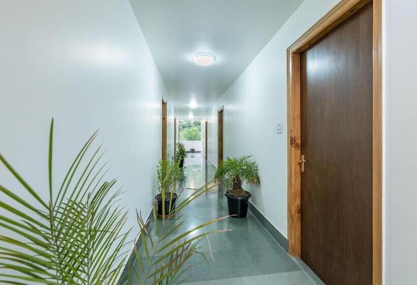 فندق Kullu Valley