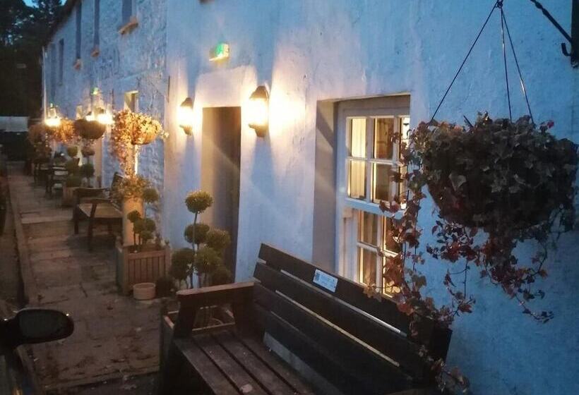 酒店 The King S Head