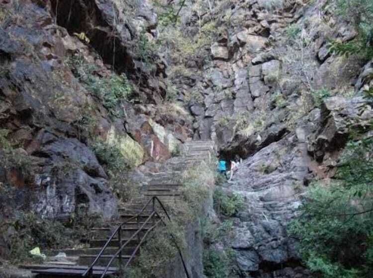 فندق The Pure Nature