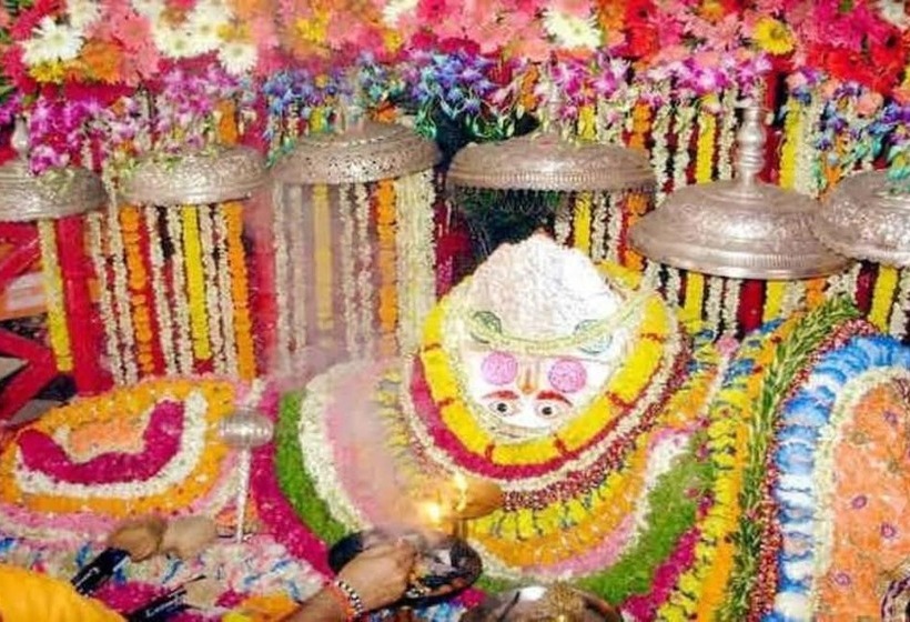 فندق The Pure Nature