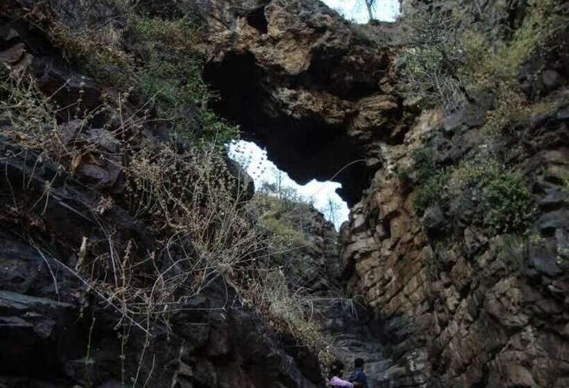 فندق The Pure Nature