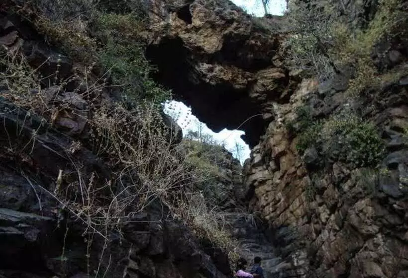 ホテル The Pure Nature