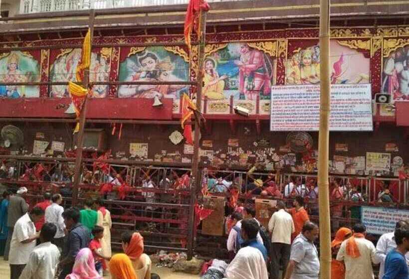 فندق The Pure Nature