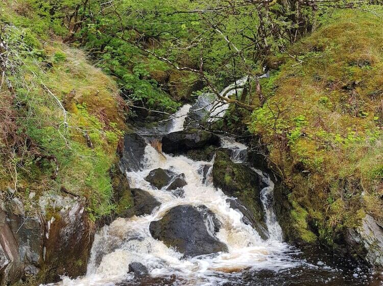 Loch Awe Luxury Eco Cabins