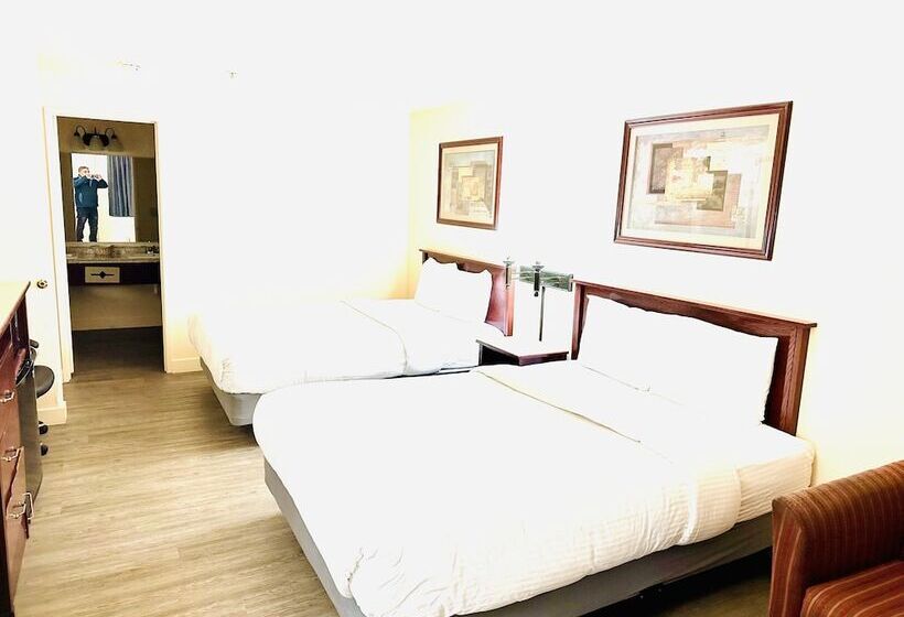 מוטל Quincy Inn And Suites