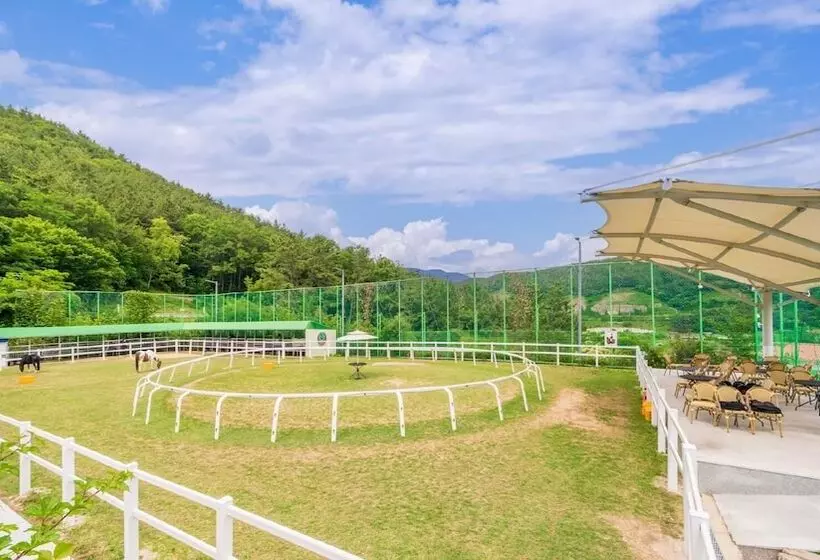 Tongyoung Sandeulhae Healling Pension