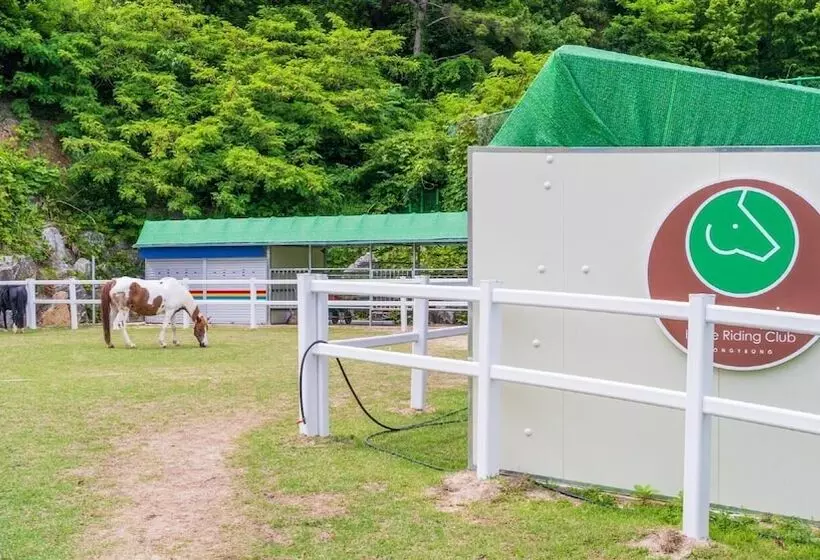 Tongyoung Sandeulhae Healling Pension