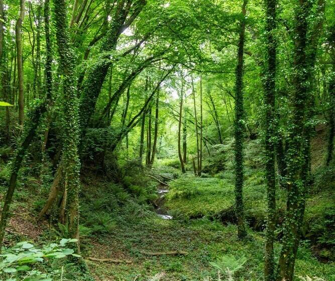 Beautiful 1 Bed Glamping Pod In Battle