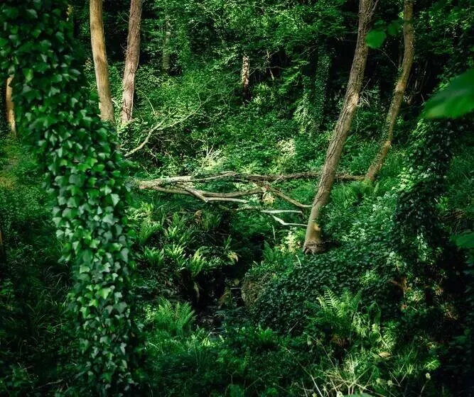 Beautiful 1 Bed Glamping Pod In Battle