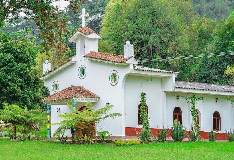 Отель Momotus Cocora