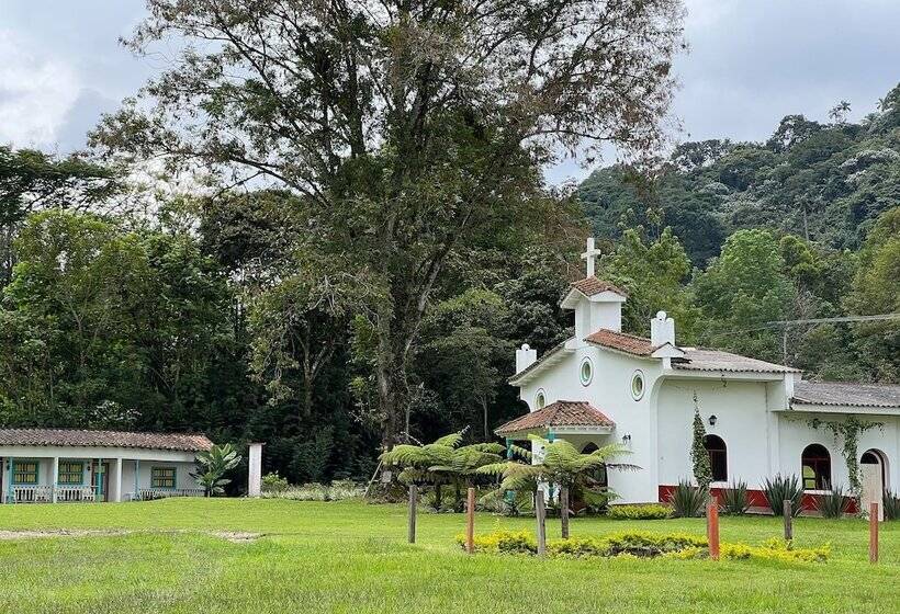 Отель Momotus Cocora