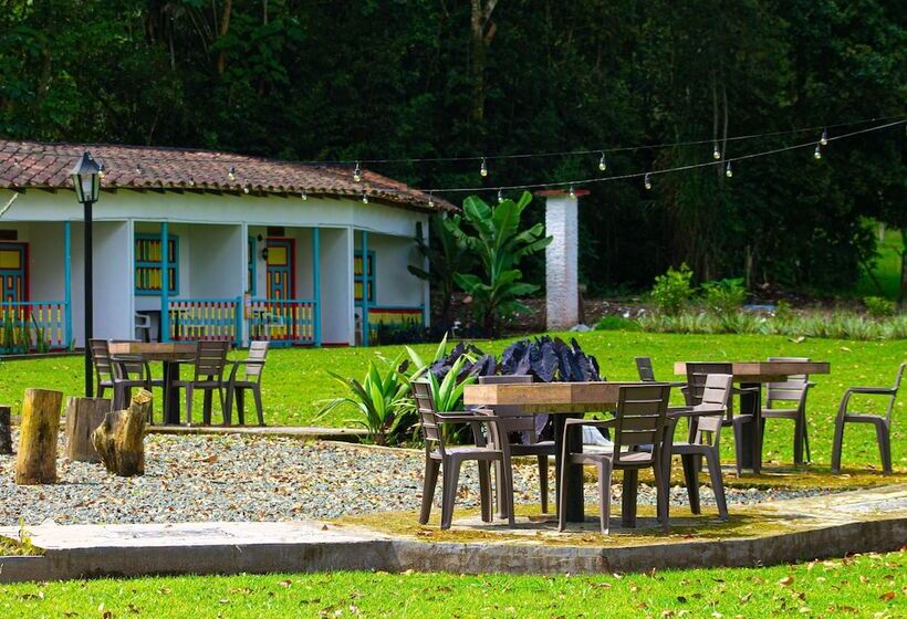 Отель Momotus Cocora