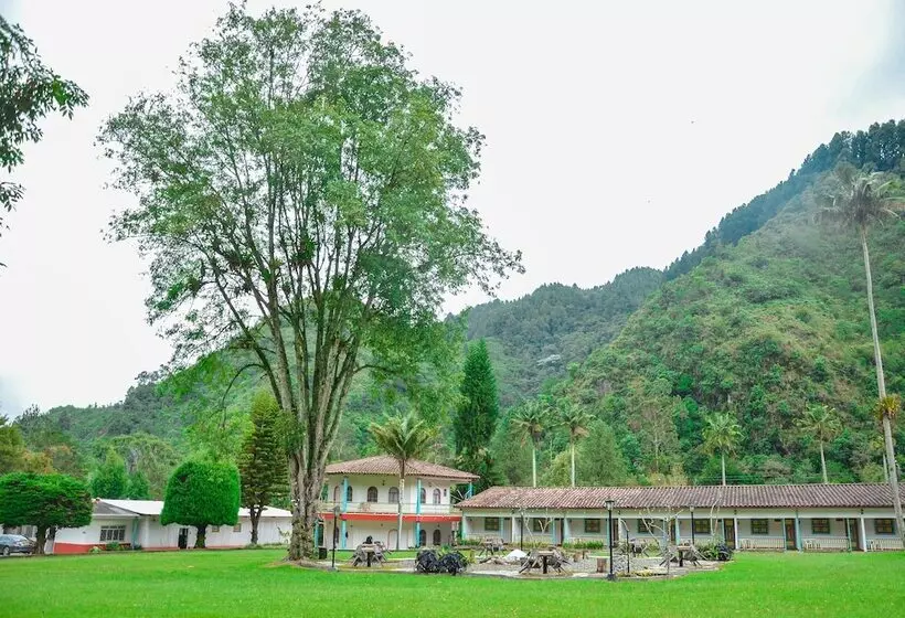ホテル Momotus Cocora