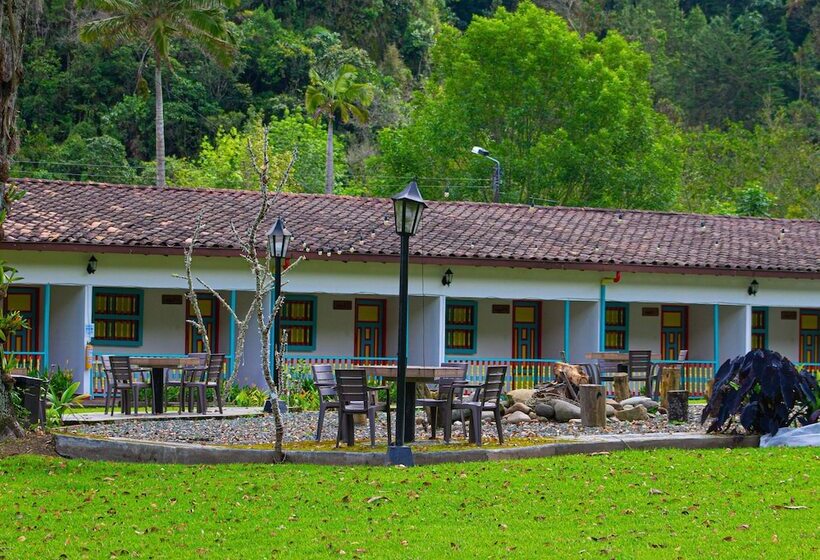 Отель Momotus Cocora