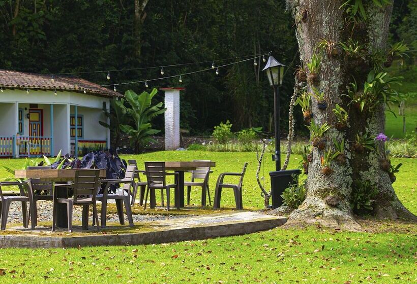 Отель Momotus Cocora