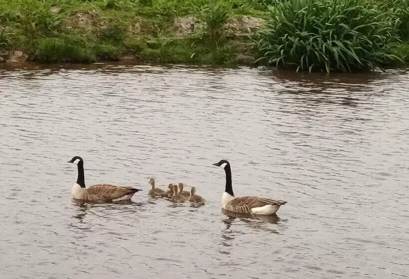 Hotelli Pretty & Cosy Boat In Stunning Valley View, Wales