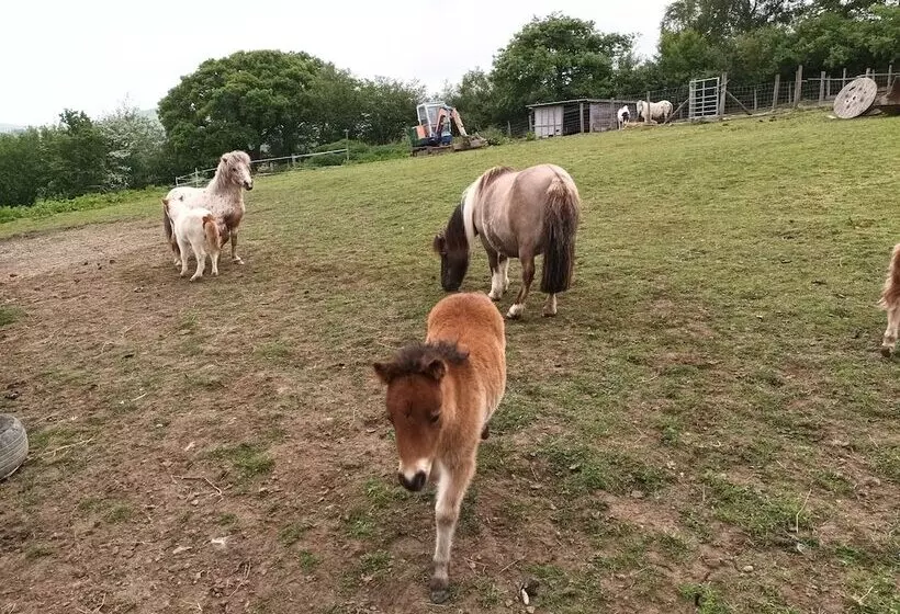 Hotelli Pretty & Cosy Boat In Stunning Valley View, Wales