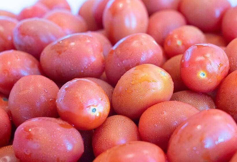 فندق Ramada Plaza By Wyndham Jaeun