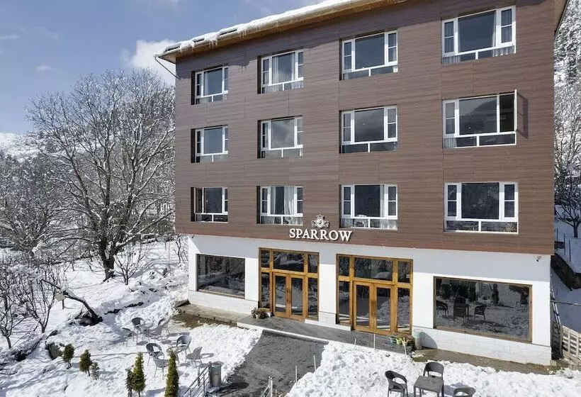 ホテル Sparrow