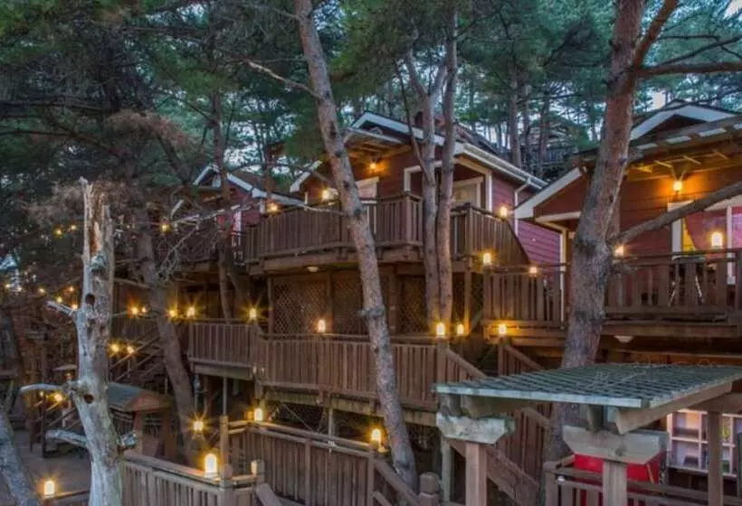 Hoengseong Pine Bell Pension