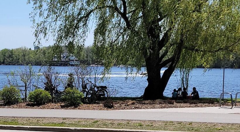 Kokomo Inn   Tropical Riverfront B&b