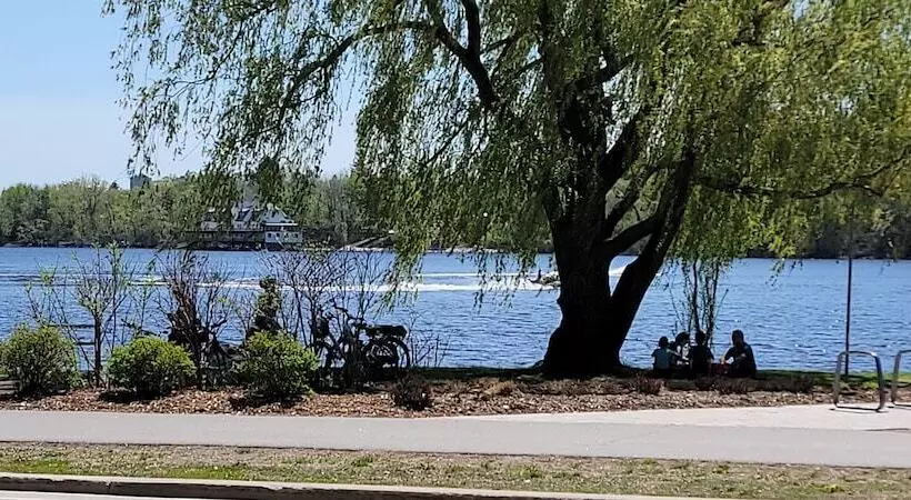 Kokomo Inn   Tropical Riverfront B&b