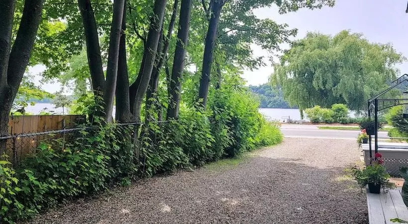 Kokomo Inn   Tropical Riverfront B&b