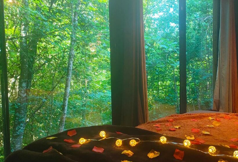 膳宿费 L Ange De Fer