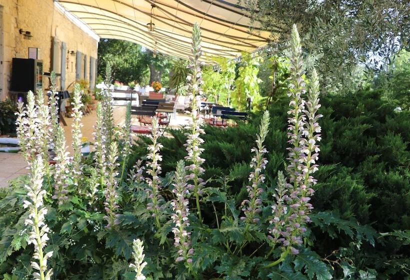 پانسیون Mas Des Cerisiers