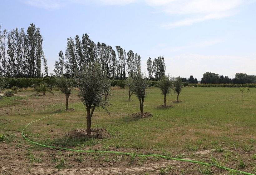 پانسیون Mas Des Cerisiers