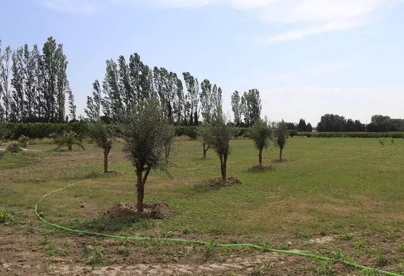 پانسیون Mas Des Cerisiers