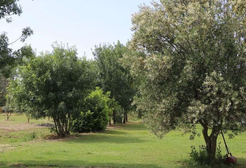 پانسیون Mas Des Cerisiers