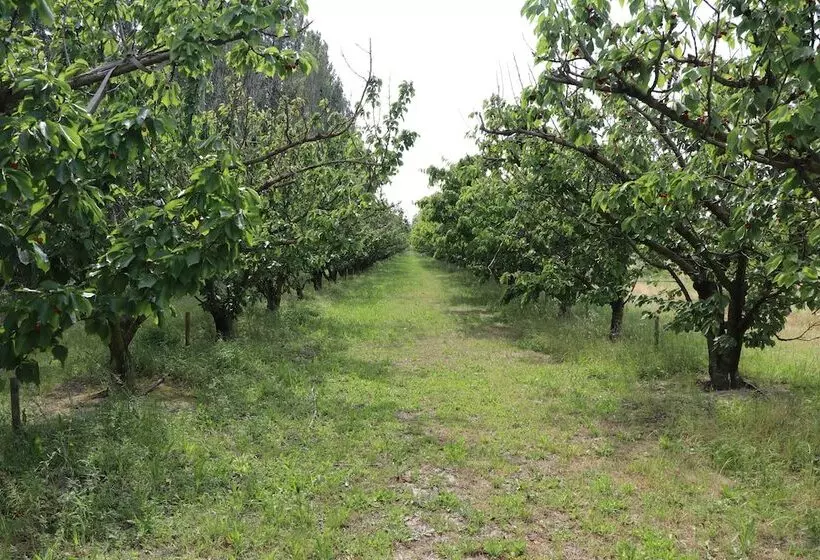 پانسیون Mas Des Cerisiers